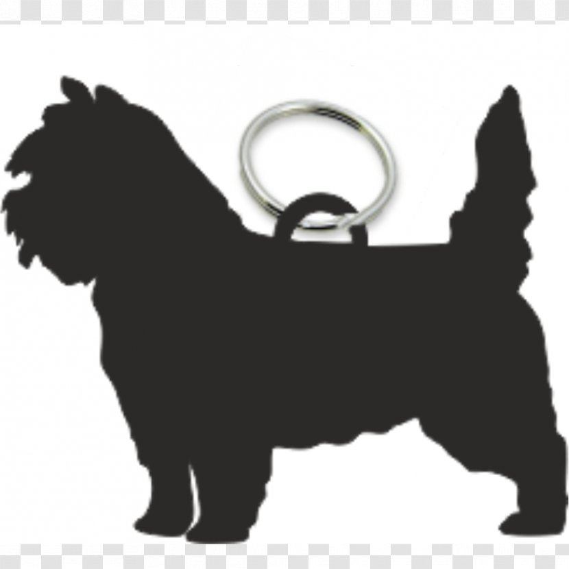 Dog Breed Cairn Terrier Puppy Fob - Mammal Transparent PNG