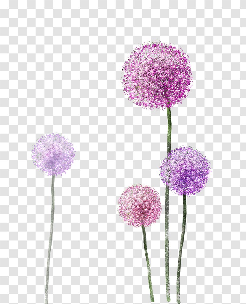 Watercolor Painting Dandelion Flower - Purple Transparent PNG