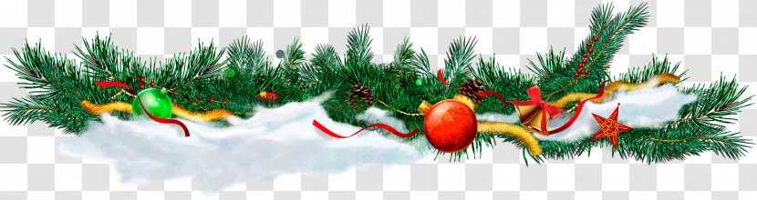 Clip Art GIF Christmas Day Image - Conifer - Evergreen Transparent PNG