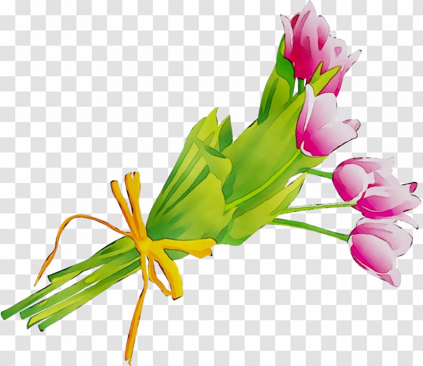 Floral Design Cut Flowers Flower Bouquet Tulip - Pink - Flowering Plant Transparent PNG