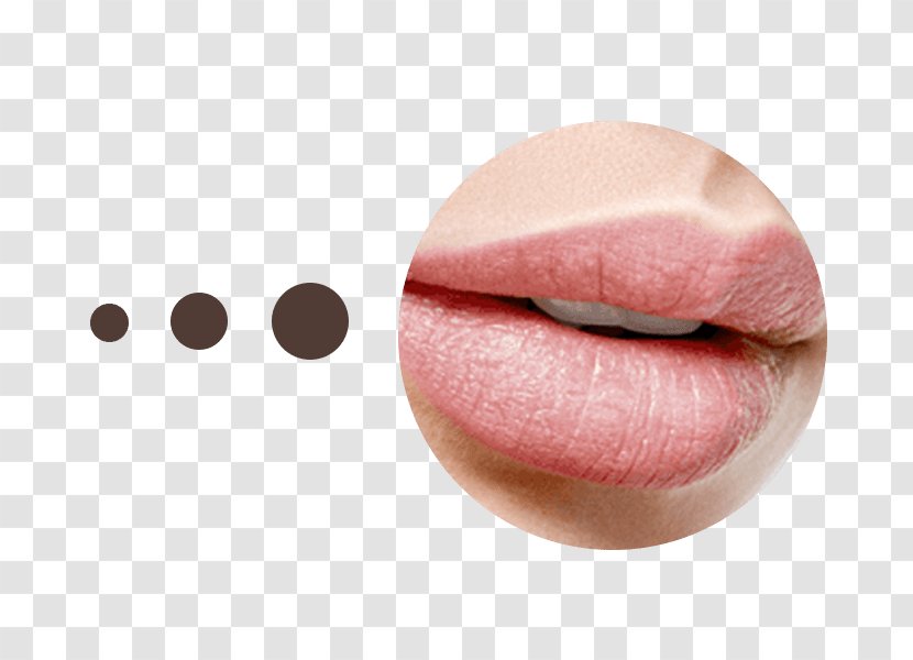 Lip Gloss Permanent Makeup Make-up Contur Line - Cheek Transparent PNG