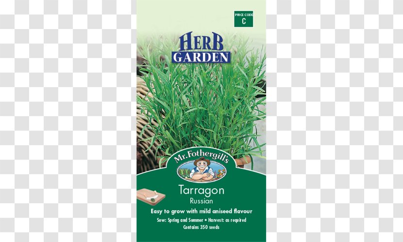 Garlic Chives Common Sage Herb Benih - Garden Transparent PNG