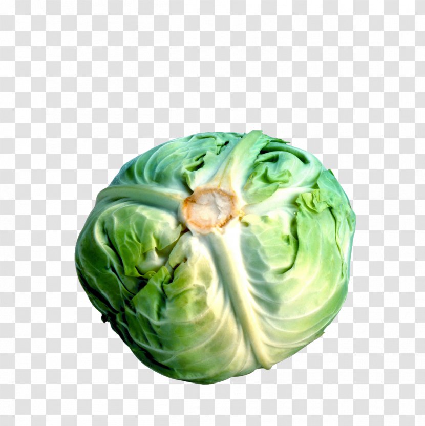 Savoy Cabbage Cauliflower Broccoli Brussels Sprout - Cruciferous Vegetables Transparent PNG