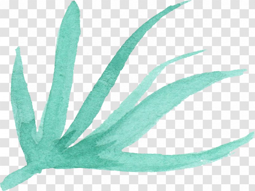 Turquoise Leaf Teal Feather - Watercolor Leaves Transparent PNG