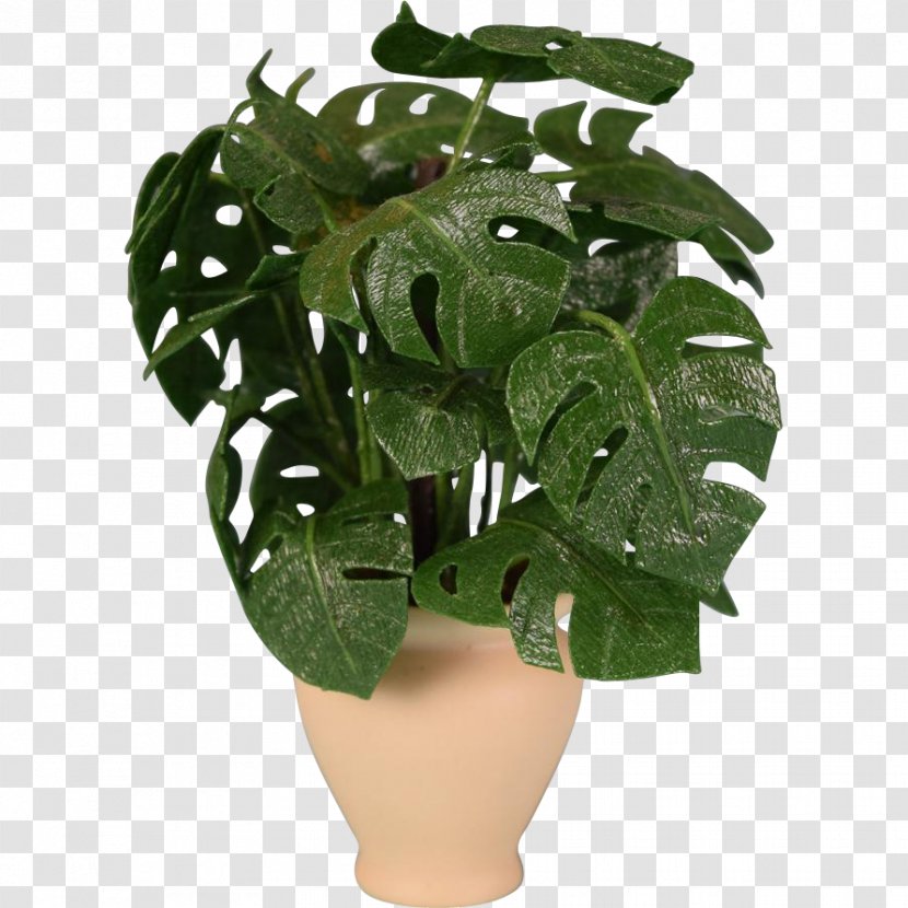 Swiss Cheese Plant Dollhouse Houseplant Flowerpot 1:12 Scale - Split Leaf Philodendron Transparent PNG