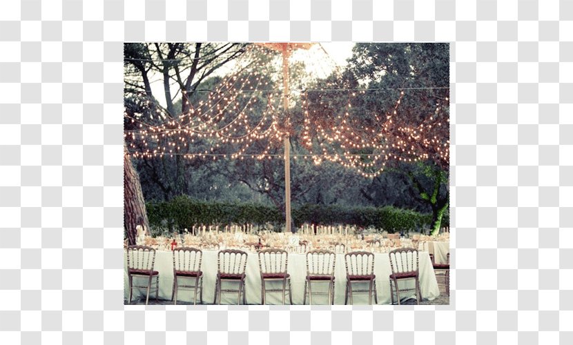 Wedding Cake Invitation Reception Centrepiece - Engagement - Fairy Lights Transparent PNG