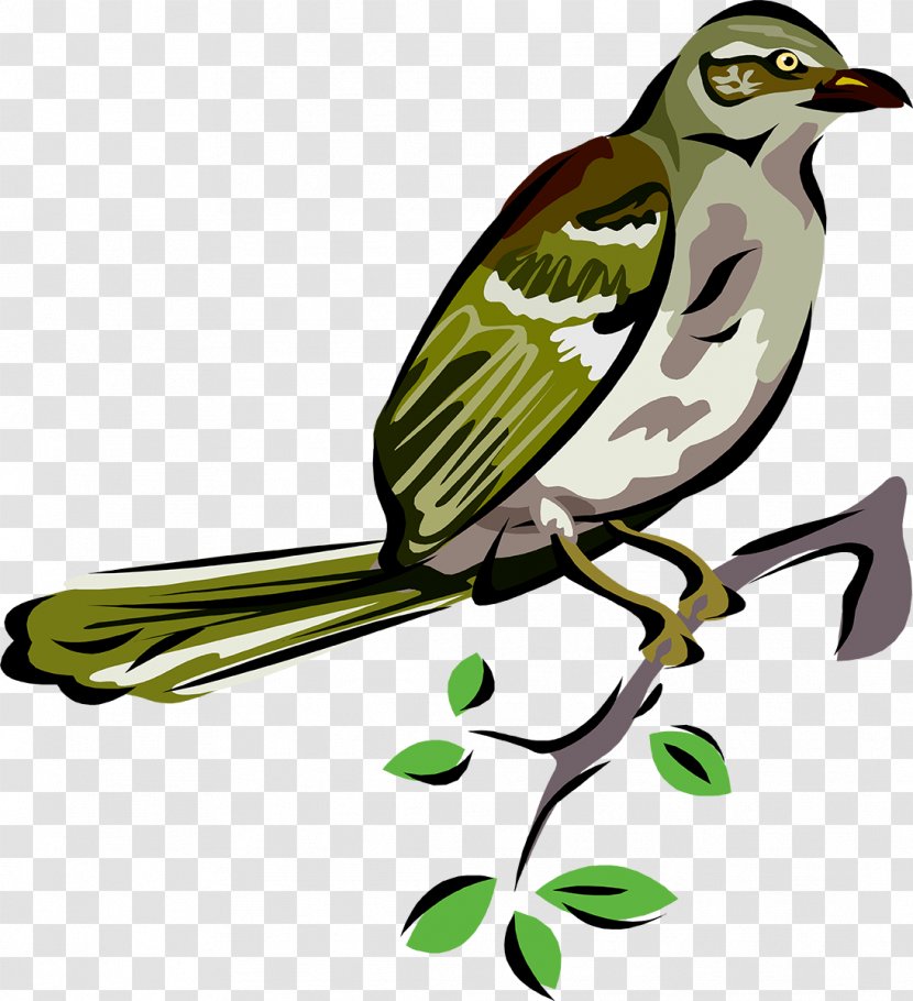 The Conference Of Birds Simurgh Sufism Finch - Cuckoos Transparent PNG