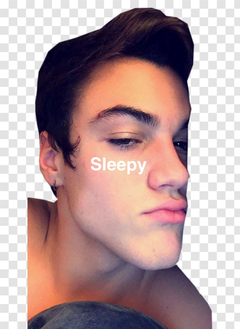 Eyebrow Dolan Twins Snapchat Lip - Ear - Grayson Transparent PNG
