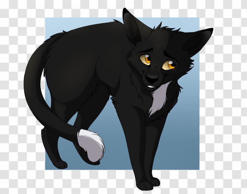 Cat Kitten Into The Wild Warriors Ravenpaw - Like Mammal Transparent PNG