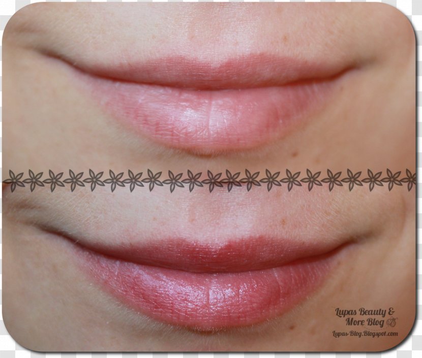 Lip Gloss Lipstick Blog Eyelash - Cheek - Menschlich Gesehen Ziemlich Abstossend Transparent PNG