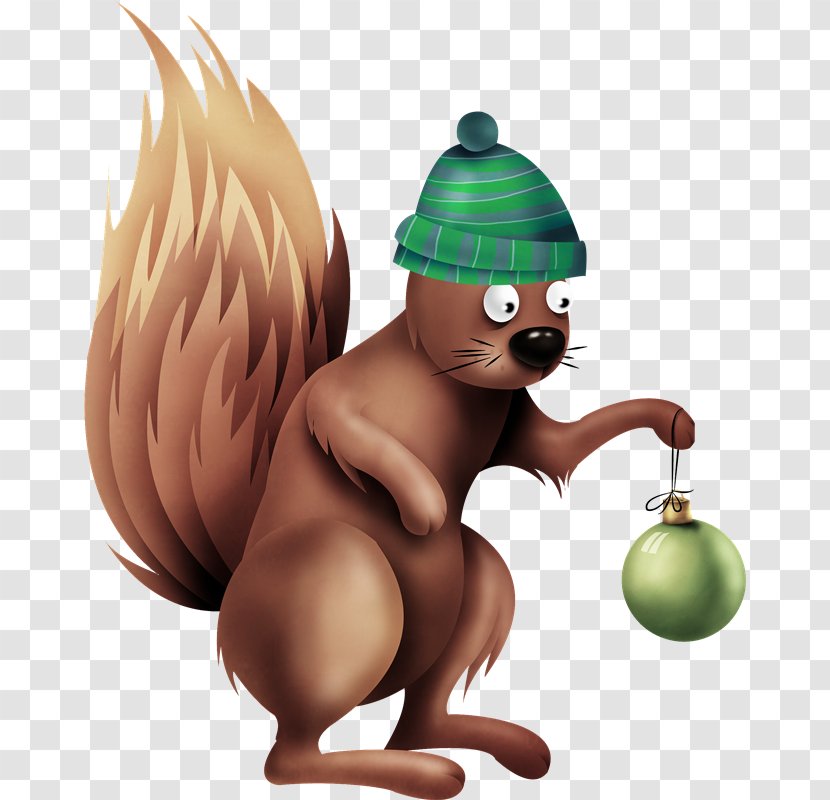 Bucky The Squirrel Mammal Tree Red Transparent PNG