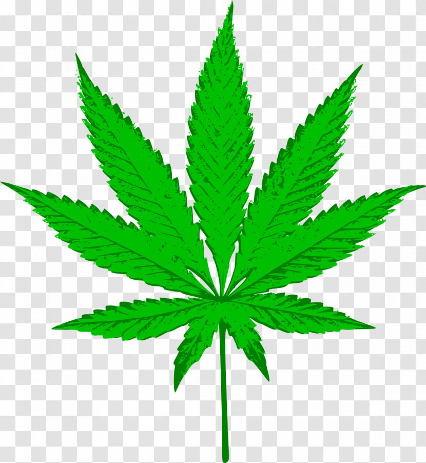 Cannabis Sativa Medical Clip Art - Legalization Transparent PNG