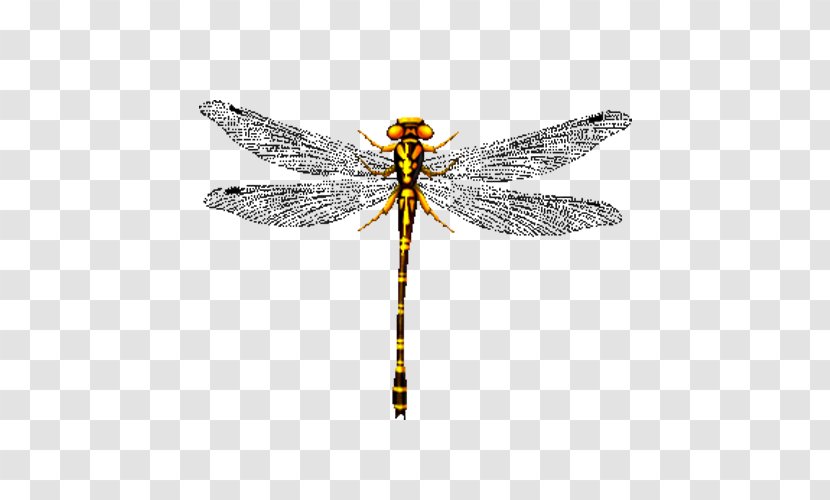 Dragonfly Design Image Decorative Arts - Dragonflies And Damseflies - Foto Transparent PNG