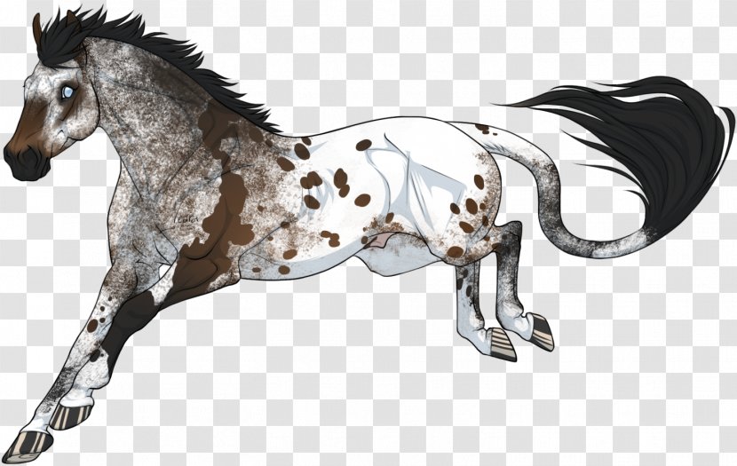 Mane Foal Stallion Mustang Pony Transparent PNG