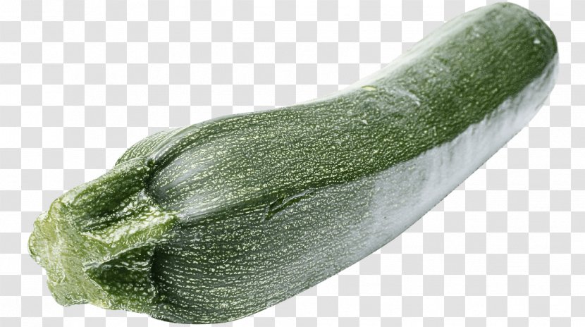 Vegetable Zucchini Plant Luffa Cucumber, Gourd, And Melon Family - Food - Cucumber Gourd Transparent PNG