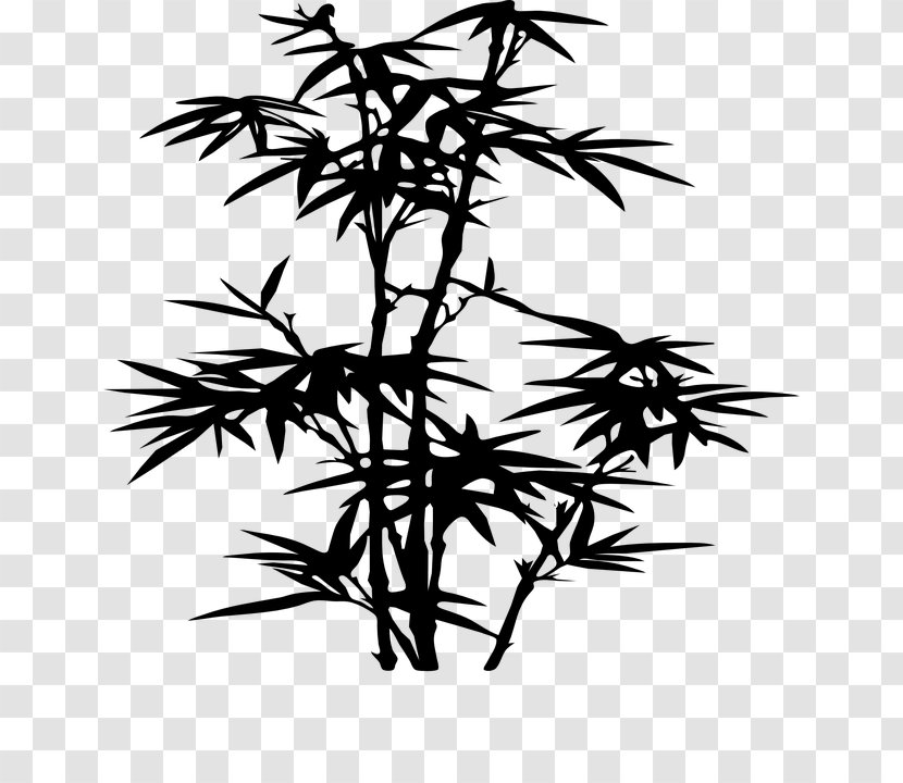 Tropical Woody Bamboos Silhouette Drawing Stencil - Black And White Transparent PNG