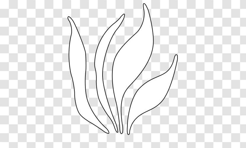 /m/02csf Clip Art Petal Drawing Leaf - White - Grass Transparent Transparent PNG