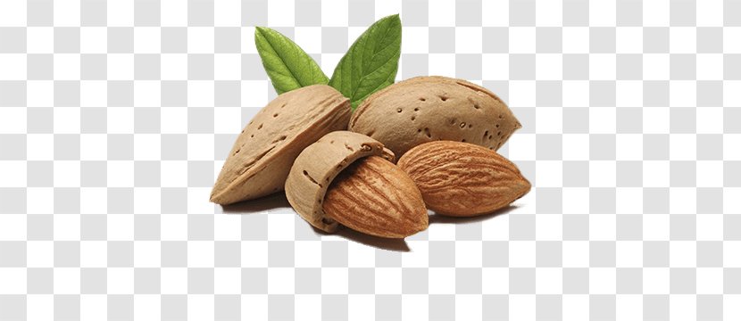 Almond Oil Organic Food Flavor Transparent PNG