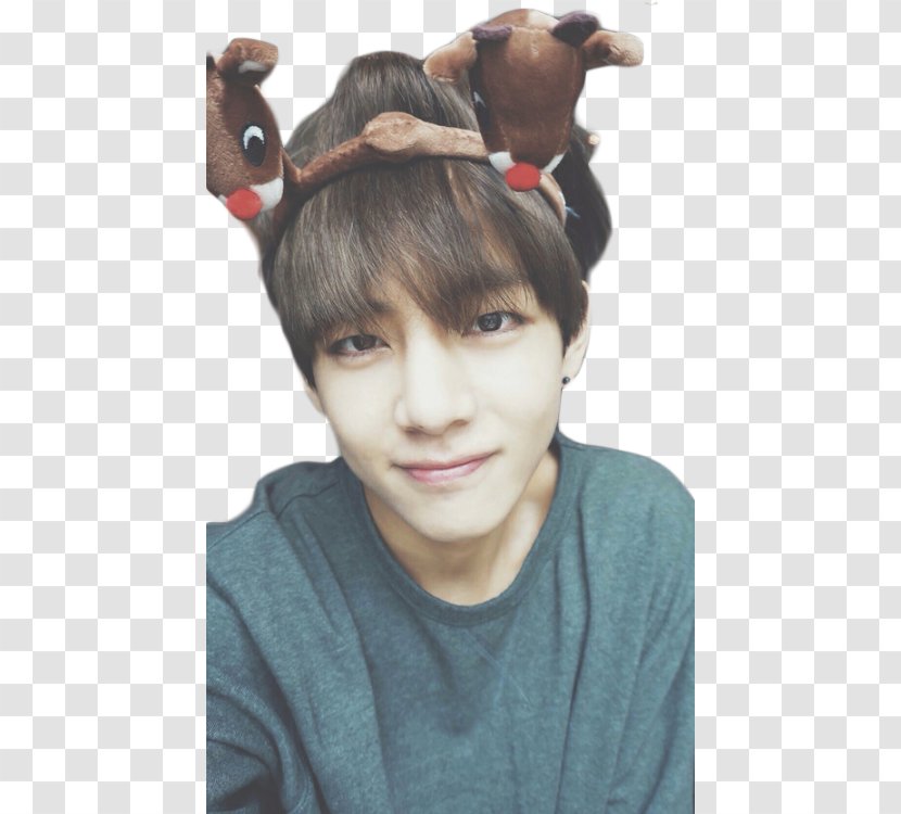 BTS V - Hair - Fawn Smile Transparent PNG