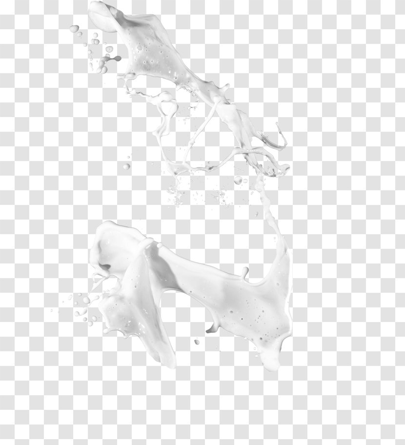 Flavored Milk Splash - Neck - Template Transparent PNG