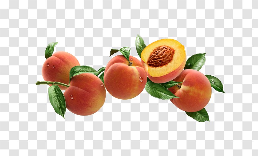 Peach Food Fruit Apple - Apricot Transparent PNG