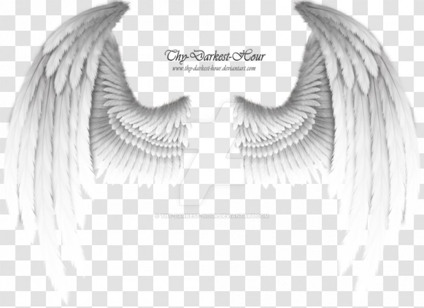 Angel Wing - White Wings Transparent PNG