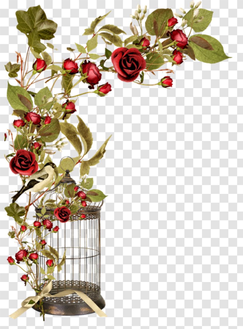 Clip Art Image Photography - Rose Order - Floral Wreath Transparent PNG