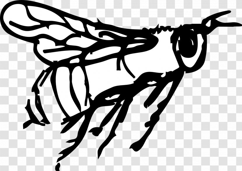 Bee Drawing Art Fly Transparent PNG