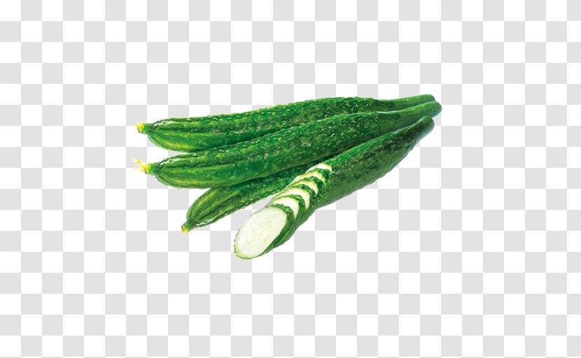 Leaf - Cucumber Transparent PNG
