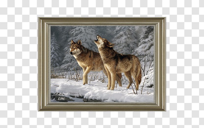 The Call Of Wild Dog Red Fox Martin Eden Arctic Wolf Transparent PNG