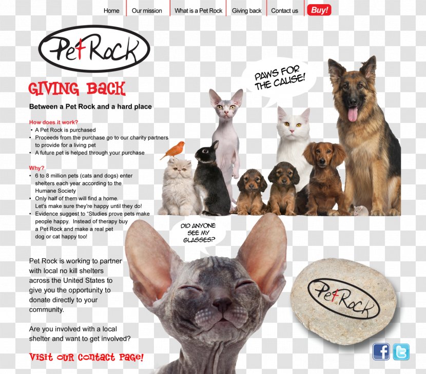 Pet Sitting Cat Veterinarian Dog Transparent PNG