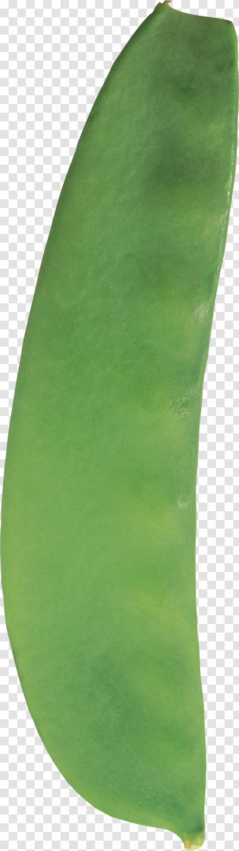 Pea Common Bean Silique Leaf Transparent PNG