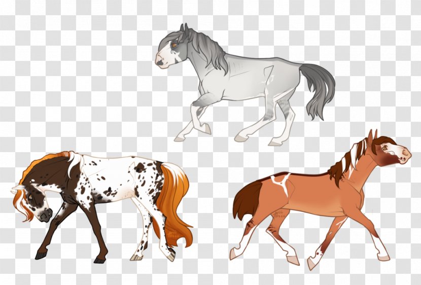 Mustang Foal Stallion Colt Mare Transparent PNG