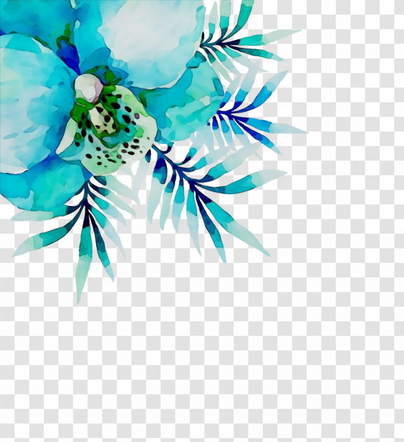 Aqua Turquoise Plant Flower Turquoise Transparent PNG