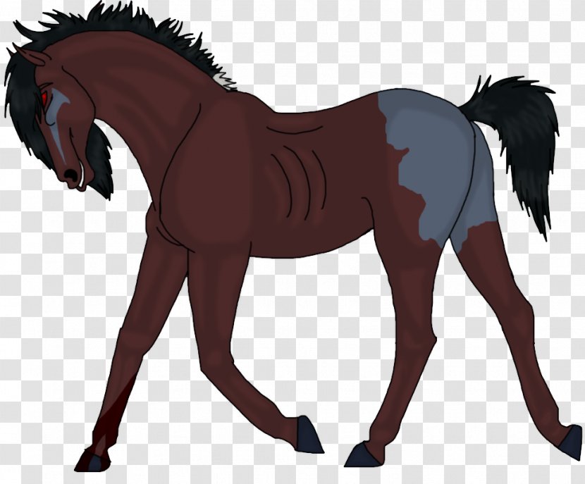 Foal Mane Stallion Mare Colt - Neck - Mustang Transparent PNG