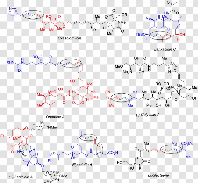The Stille Reaction Organic Synthesis Ring-closing Metathesis Chemical - Diagram - Ringclosing Transparent PNG