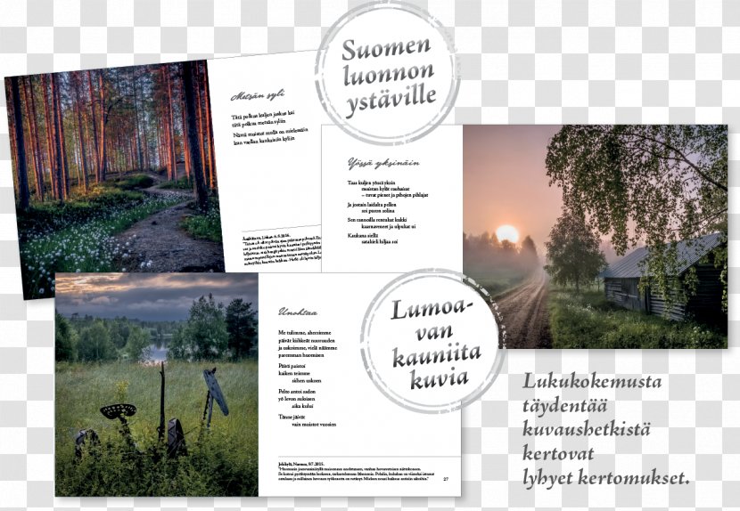 Landscape Nature M Brochure - Grass - Kissan Transparent PNG