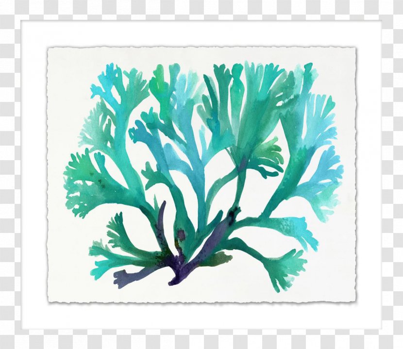 Graphics Illustration Leaf Plant Stem Art - Centimeter - Watercolor Sea Turtle Transparent PNG