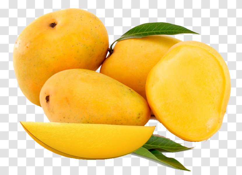 Alphonso Mango Mangifera Indica Fruit Saffron - Juice Vesicles Transparent PNG
