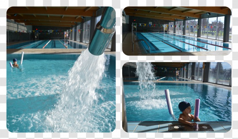 Swimming Pool Water Resources Park Leisure Centre - Feature Transparent PNG