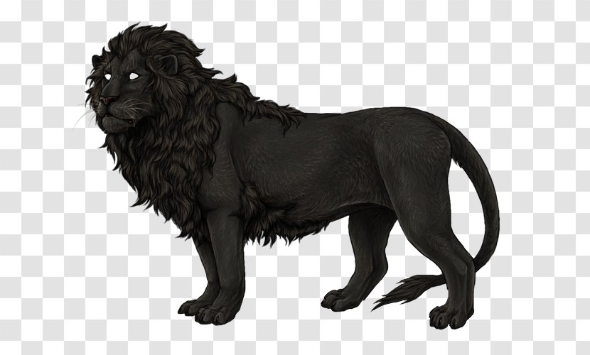 Lion Border Collie Dog Breed Melanism Rough - Black And White Transparent PNG