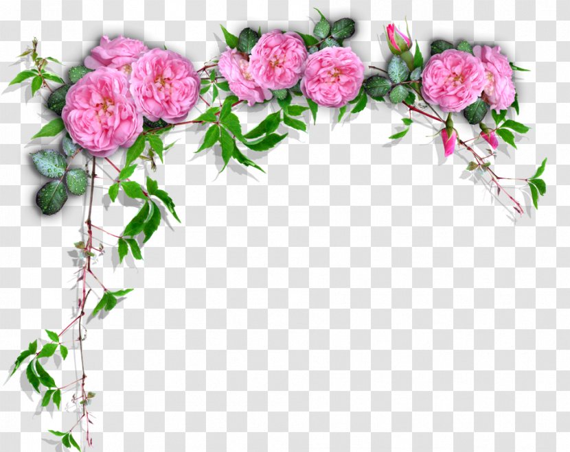 Garden Roses Floral Design Cut Flowers Scrapbooking - Rose - Flower Transparent PNG