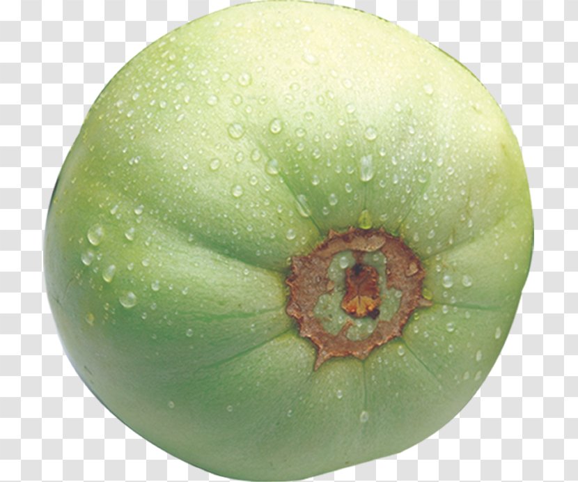 Hami Melon Eating Food Auglis - Vegetables Transparent PNG