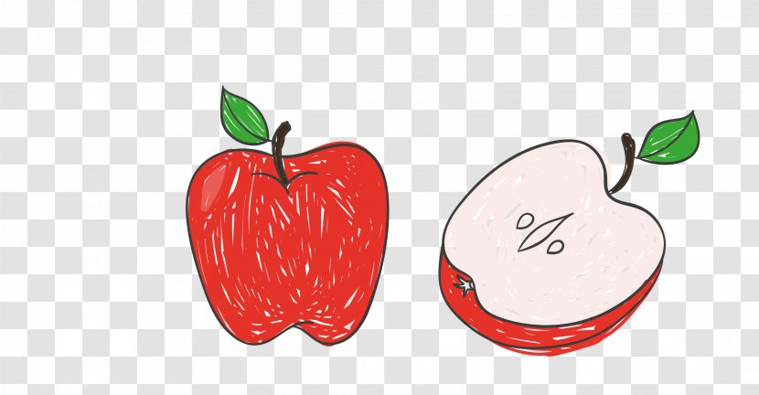 Adobe Illustrator Illustration - Fruit - Vector Red Hand-painted Apple Cut Transparent PNG