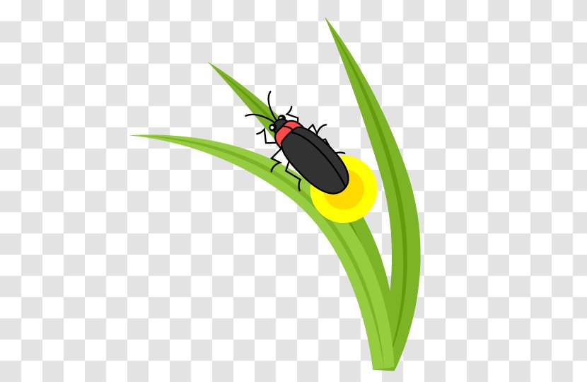Ladybird Beetle Firefly Clip Art - Stag Transparent PNG