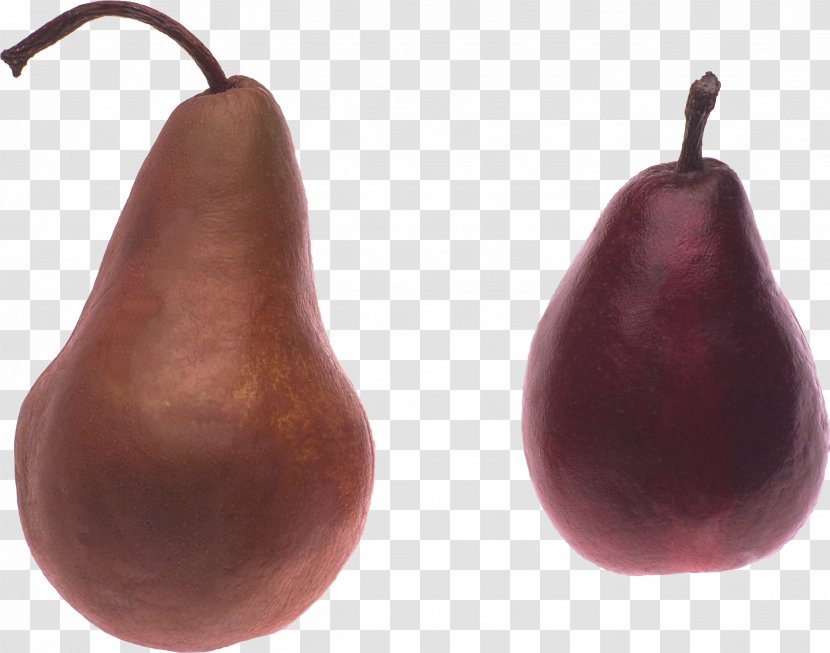 Pear Amygdaloideae Clip Art - Family Transparent PNG