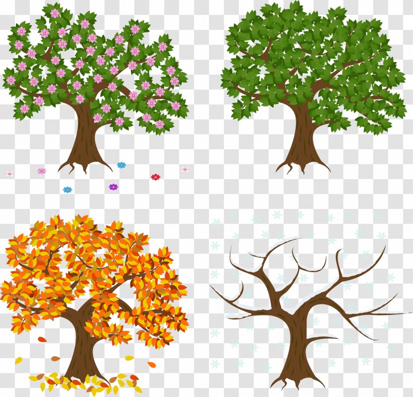 Vector Hand Painted Spring, Summer, Autumn And Winter - Organism - Leaf Transparent PNG