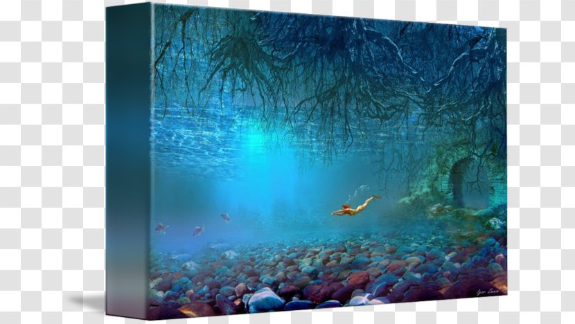 Coral Reef Fish Water Aquariums Ecosystem - Underwater World Transparent PNG