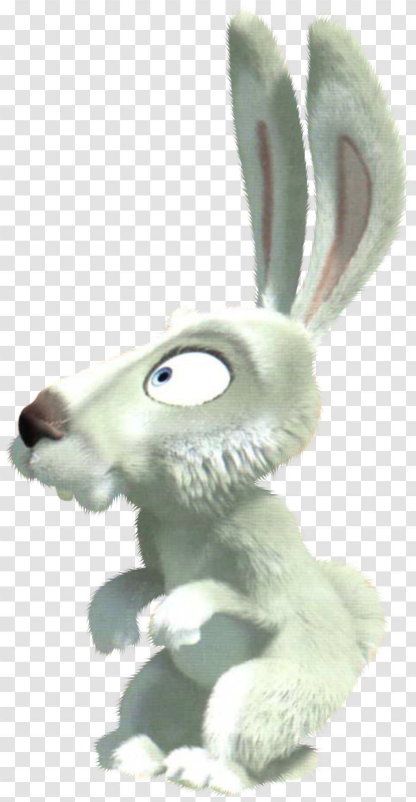 Hare Bear European Rabbit Transparent PNG