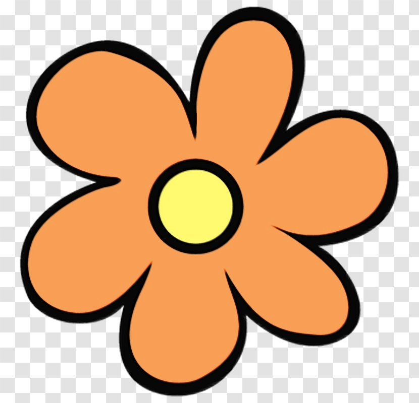 Orange - Plant - Flower Transparent PNG